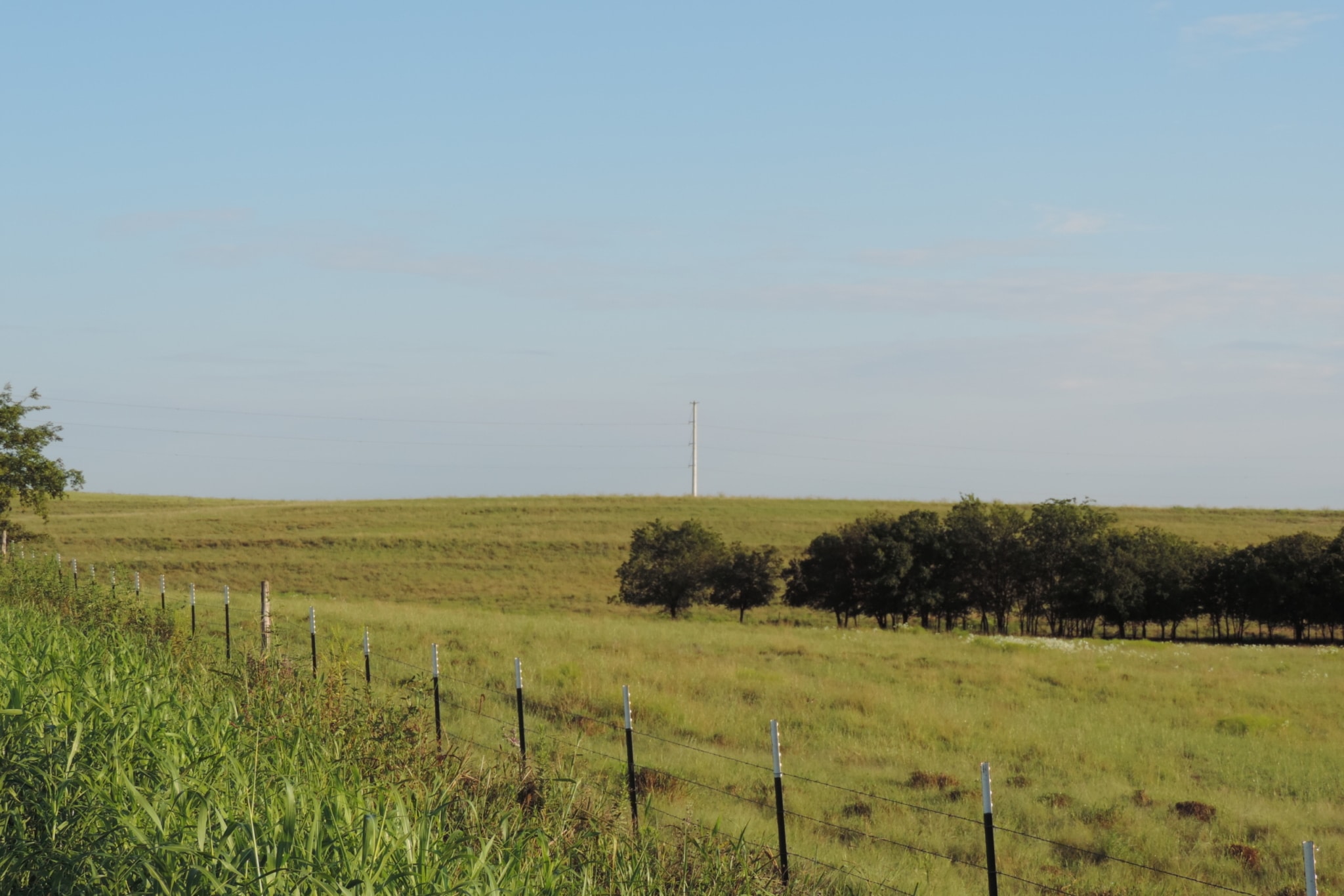 Texas Ranch for Sale