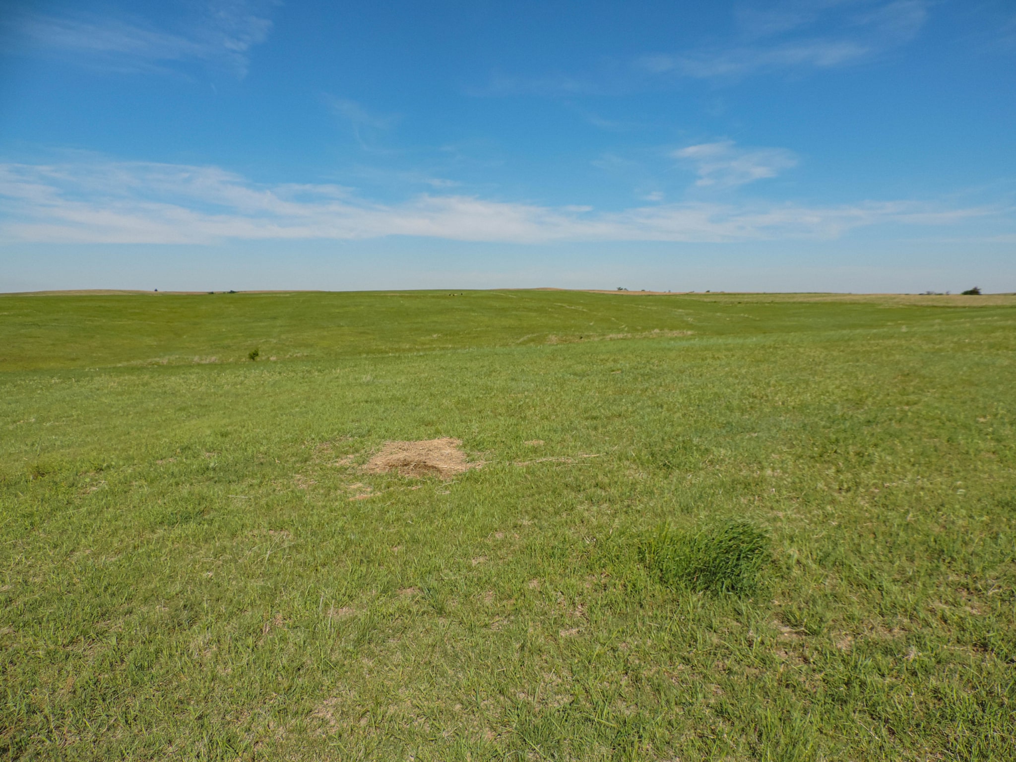 Grassland on Kansas land for sale