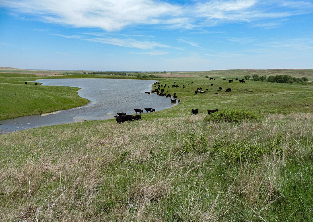 Kansas cattle ranch for sale.