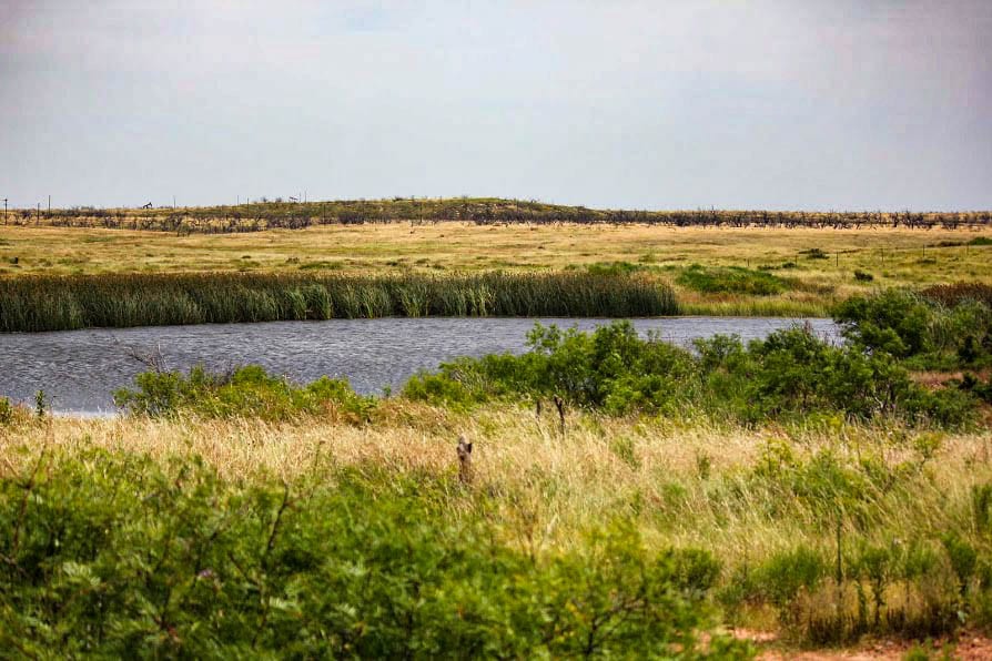 Rocky Point Ranch: Texas Land for Sale