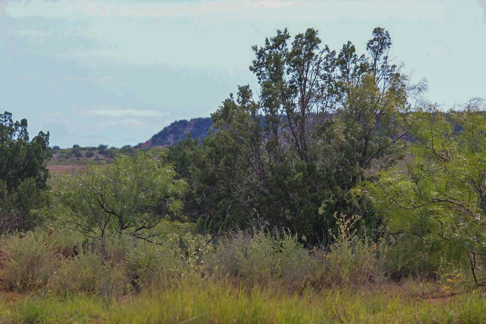 Sheep Creek Ranch is for sale in Texas
