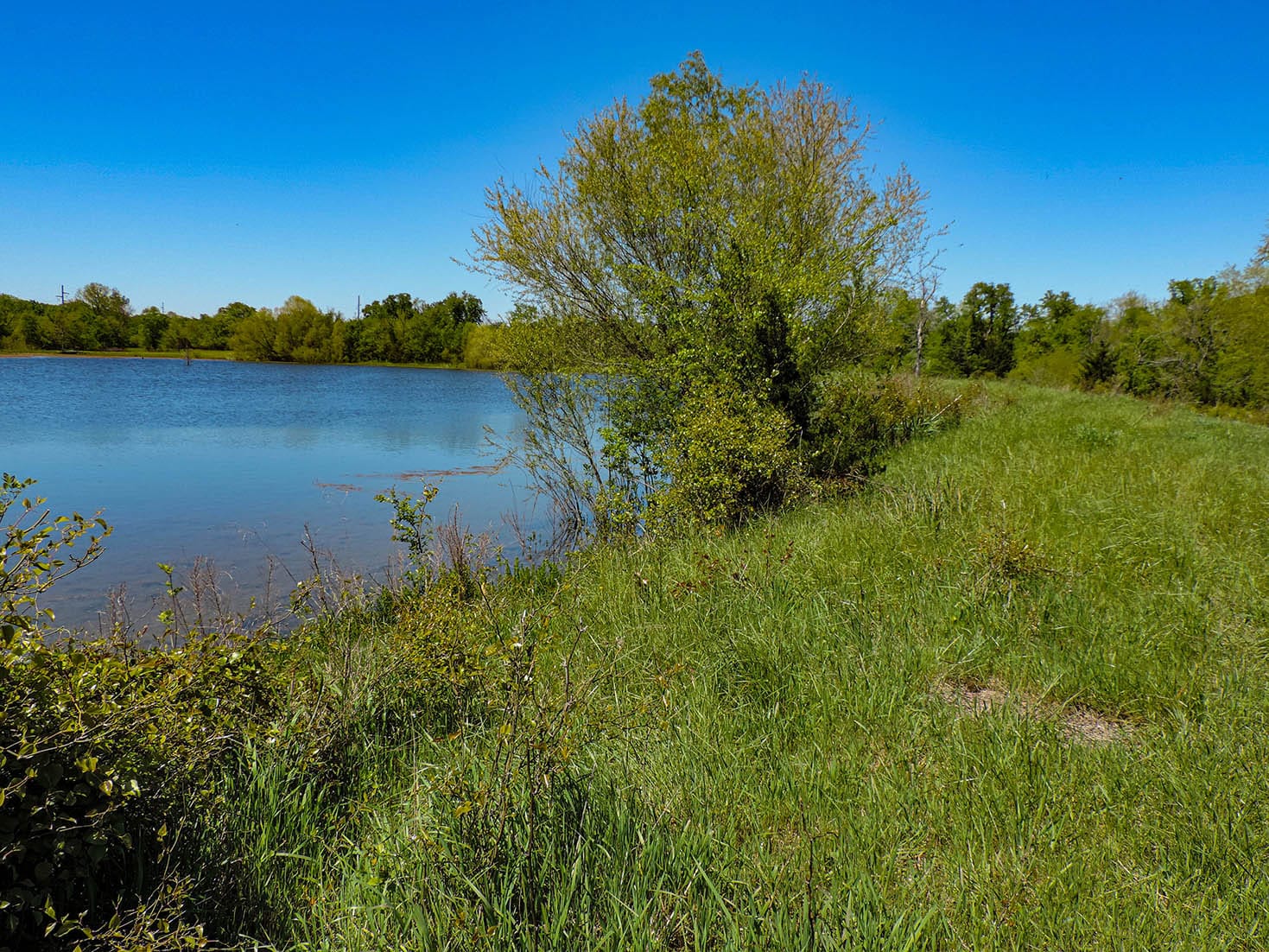 Large lake on Oklahoma land for sale.