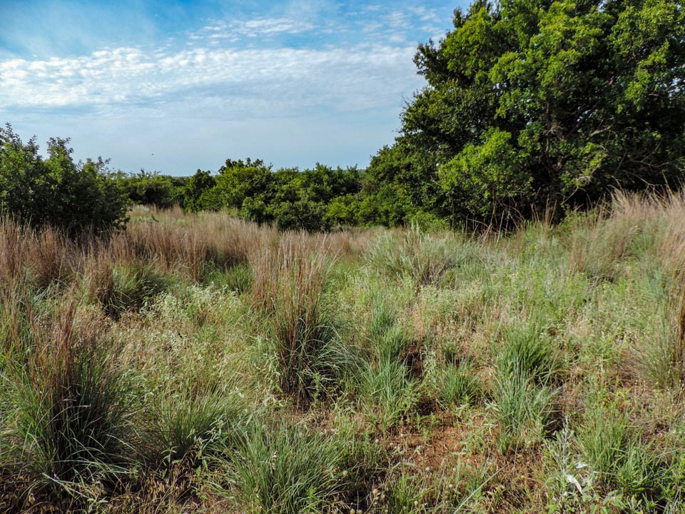 Oklahoma ranch land for sale